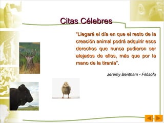 “ Llegará el día en que el resto de la creación animal podrá adquirir esos derechos que nunca pudieron ser alejados de ellos, más que por la mano de la tiranía”.  Jeremy Bentham - Filósofo Citas Célebres 