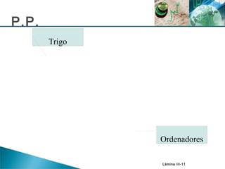 Lámina III-11
P.P.
Ordenadores
Trigo
 