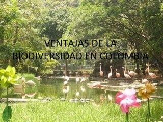 VENTAJAS DE LA
BIODIVERSIDAD EN COLOMBIA
 