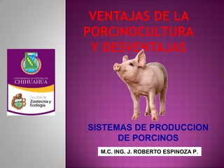 SISTEMAS DE PRODUCCION 
DE PORCINOS 
M.C. ING. J. ROBERTO ESPINOZA P.  