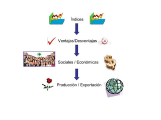 Índices Ventajas/Desventajas Sociales / Económicas Producción / Exportación 