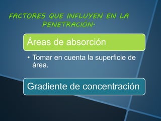 Áreas de absorción
• Tomar en cuenta la superficie de
área.
Gradiente de concentración
 