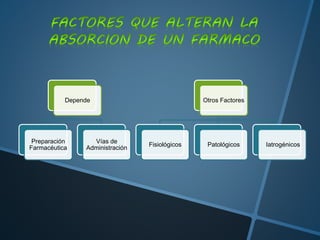 Depende
Preparación
Farmacéutica
Vías de
Administración
Otros Factores
Fisiológicos Patológicos Iatrogénicos
 