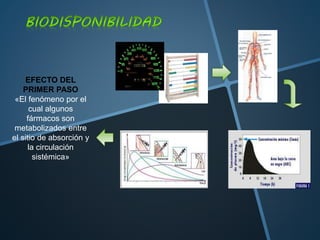 EFECTO DEL
PRIMER PASO
«El fenómeno por el
cual algunos
fármacos son
metabolizados entre
el sitio de absorción y
la circulación
sistémica»
 