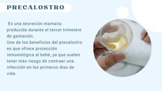 Precalostro ventajas y desventajas de la lactancia materna .pdf