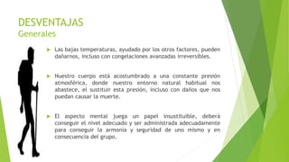 Zapatillas de Montañismo para Mujer, zapatos de estabilidad, Tenis  femeninos, calzado clásico, Buty, zapatos deportivos informales para  Mujer|Zapatos vulcanizados de mujer| - AliExpress