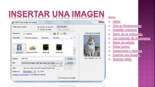 INSERTAR UNA IMAGEN
 