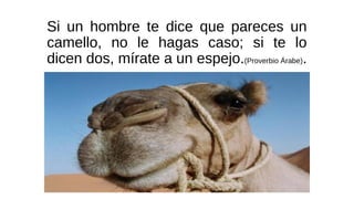 Si un hombre te dice que pareces un
camello, no le hagas caso; si te lo
dicen dos, mírate a un espejo.(Proverbio Árabe).
 