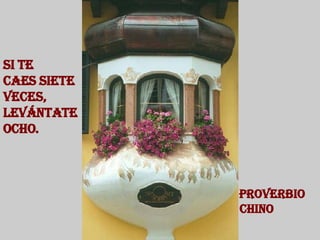 Si te  caes siete veces, levántate ocho. Proverbio Chino  