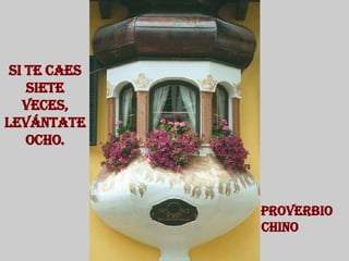 Si te caes siete veces, levántate ocho. Proverbio Chino  