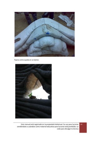 Este manual está registrado en la propiedad intelectual. Su uso para lucrarse
vendiéndolo o usándolo como material educativo para lucrarse está prohibido. Lo
cedo para divulgar la técnica
14
Fijaros como queda en un domo:
 