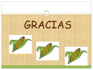 GRACIAS
 