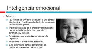 Inteligencia emocional
 Tristeza
 Su función es ayudar a adaptarse a una pérdida
significativa, como la muerte de alguien cercano o
una decepción grande
 Produce una caída de la energía y el entusiasmo
por las actividades de la vida, sobre todo
diversiones y placeres
 A medida que se profundiza se acerca a la
depresión
 Hace lento el metabolismo del cuerpo
 Este aislamiento permite comprender las
consecuencias que tendra en la vida
 