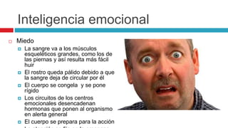 Inteligencia emocional
 Miedo
 La sangre va a los músculos
esqueléticos grandes, como los de
las piernas y así resulta más fácil
huir
 El rostro queda pálido debido a que
la sangre deja de circular por él
 El cuerpo se congela y se pone
rígido
 Los circuitos de los centros
emocionales desencadenan
hormonas que ponen al organismo
en alerta general
 El cuerpo se prepara para la acción
 
