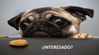 ¿INTERESADO?
 