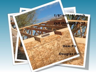 1/8” or 1/4” mesh

2x4 through 2x12




    Hem Fir

  Douglas Fir
 