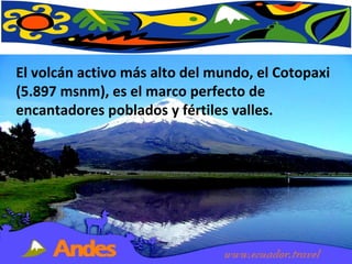 El volcán activo más alto del mundo, el Cotopaxi (5.897 msnm), es el marco perfecto de encantadores poblados y fértiles valles.  