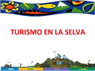 TURISMO EN LA SELVA 