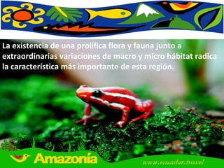 La existencia de una prolífica flora y fauna junto a extraordinarias variaciones de macro y micro hábitat radica la característica más importante de esta región.  