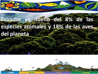 Ecuador es dueño del 8% de las especies animales y 18% de las aves del planeta 