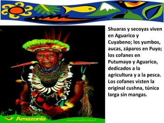 Shuaras y secoyas viven en Aguarico y Cuyabeno; los yumbos, aucas, záparos en Puyo; los cofanes en Putumayo y Aguarico, dedicados a la agricultura y a la pesca. Los cofanes visten la original cushna, túnica larga sin mangas. 