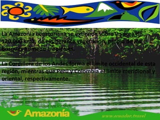La Amazonía ecuatoriana se extiende sobre un área de 120.000 km2, de exuberante vegetación, propia de los bosques húmedo-tropicales.  La Cordillera de los Andes forma el límite occidental de esta región, mientras que Perú y Colombia el límite meridional y oriental, respectivamente.  