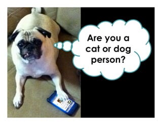Are you a
cat or dog
person?
 