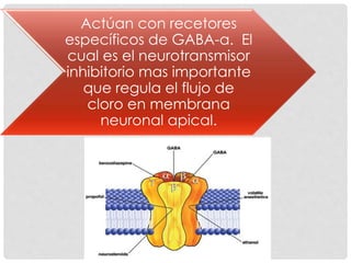 Actúan con recetores
específicos de GABA-a. El
cual es el neurotransmisor
inhibitorio mas importante
que regula el flujo de
cloro en membrana
neuronal apical.
 