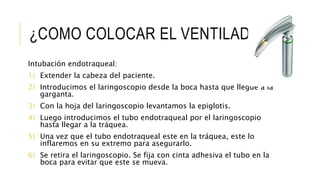 ¿COMO COLOCAR EL VENTILADOR?
Intubación endotraqueal:
1) Extender la cabeza del paciente.
2) Introducimos el laringoscopio desde la boca hasta que llegue a la
garganta.
3) Con la hoja del laringoscopio levantamos la epiglotis.
4) Luego introducimos el tubo endotraqueal por el laringoscopio
hasta llegar a la tráquea.
5) Una vez que el tubo endotraqueal este en la tráquea, este lo
inflaremos en su extremo para asegurarlo.
6) Se retira el laringoscopio. Se fija con cinta adhesiva el tubo en la
boca para evitar que este se mueva.
 