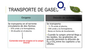 TRANSPORTE DE GASES
Oxigeno
Se transporta en el torrente
circulatorio de dos formas:
 97% unido a la hemoglobina.
 3% disuelto en el plasma.
Contenido total de oxigeno en la sangre
Arterial
Dióxido de carbono
Se transporta:
 5-7% unido al plasma.
30% unido a la hemoglobina.
Resto en forma de bicarbonato.
 Cuando la sangre arterial llega a
los tejidos, los gradientes de
presión permiten la difusión de
O2 y CO2 entre los capilares y las
células.
 
