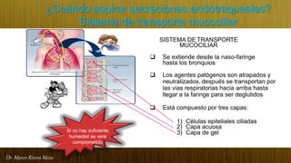 Dr. Marco Rivera Meza
¿Cuándo aspirar secreciones endotraqueales?
Sistema de transporte mucociliar
SISTEMA DE TRANSPORTE
MUCOCILIAR
 Se extiende desde la naso-faringe
hasta los bronquios
 Los agentes patógenos son atrapados y
neutralizados, después se transportan por
las vias respiratorias hacia arriba hasta
llegar a la faringe para ser deglutidos
 Está compuesto por tres capas:
1) Células epiteliales ciliadas
2) Capa acuosa
3) Capa de gelSi no hay suficiente
humedad se vera
comprometido
 