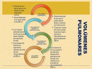 VOLÚMENES PULMONARES 