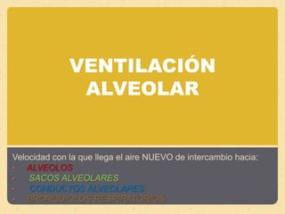 VENTILACIÓN ALVEOLARVelocidad con la que llega el aire NUEVO de intercambio hacia: ALVEOLOS