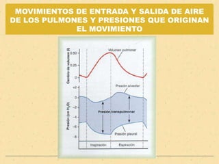 MOVIMIENTOS DE ENTRADA Y SALIDA DE AIRE DE LOS PULMONES Y PRESIONES QUE ORIGINAN EL MOVIMIENTO