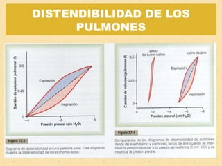 DISTENDIBILIDAD DE LOS PULMONES 