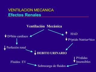 VENTILACION MECANICAVENTILACION MECANICA
Efectos RenalesEfectos Renales
Ventilación Mecánica
D₫bito cardiaco
Perfusión renal
DEBITO URINARIO
HAD
P₫ptido Natriur₫tico
Sobrecarga de fluidos
Fluidos EV
P₫rdidas
Insensibles
 