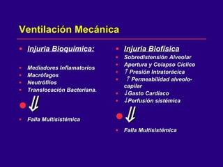 Ventilación MecánicaVentilación Mecánica
• Injuria Bioquímica:
• Mediadores InflamatoriosMediadores Inflamatorios
• MacrófagosMacrófagos
• NeutrófilosNeutrófilos
• Translocación Bacteriana.Translocación Bacteriana.
•⇓⇓
• Falla MultisistémicaFalla Multisistémica
• Injuria BiofísicaInjuria Biofísica
• Sobredistensión AlveolarSobredistensión Alveolar
• Apertura y Colapso CíclicoApertura y Colapso Cíclico
• ↑↑ Presión IntratorácicaPresión Intratorácica
• ↑↑ Permeabilidad alveolo-Permeabilidad alveolo-
capilarcapilar
• ↓↓Gasto CardiacoGasto Cardiaco
• ↓↓Perfusión sistémicaPerfusión sistémica
•⇓⇓
• Falla MultisistémicaFalla Multisistémica
 