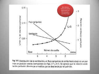 Alta relacion
V/Q en el vertice
 determina una
 PO2 elevada y
 una PCO2 baja
 