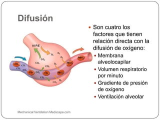 Difusión
 Son cuatro los
factores que tienen
relación directa con la
difusión de oxígeno:
 Membrana
alveolocapilar
 Volumen respiratorio
por minuto
 Gradiente de presión
de oxígeno
 Ventilación alveolar
Mechanical Ventilation Medscape.com
 