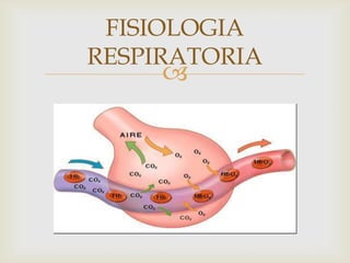 FISIOLOGIA RESPIRATORIA