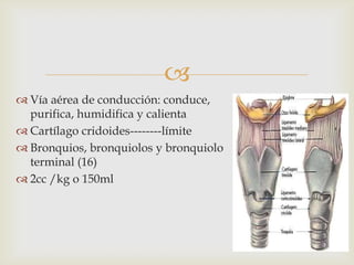 Vía aérea de conducción: conduce, purifica, humidifica y calientaCartílago cridoides--------límiteBronquios, bronquiolos y bronquiolo terminal (16)2cc /kg o 150ml