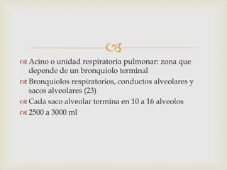 Acino o unidad respiratoria pulmonar: zona que depende de un bronquiolo terminalBronquiolos respiratorios, conductos alveolares y sacos alveolares (23)Cada saco alveolar termina en 10 a 16 alveolos2500 a 3000 ml