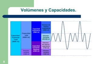 Volúmenes y Capacidades.

Capacidad
Pulmonar
Total
(5800 ml)

Capacidad
vital
(4600 ml)

Volumen
residual
(1200 ml

8

Capacidad
Inspiratoria
(3500 ml)

Volumen de
reserva
inspiratoria
(3000 ml)

Volumen
Corriente
450-550 ml

Capacidad
Funcional
Residual
(2300 ml)

Volumen
de reserva
espiratoria
(1100 ml)
Volumen
residual
(1200 ml)

 