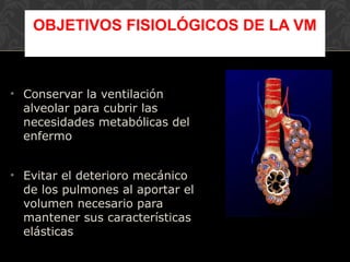 • Conservar la ventilación
alveolar para cubrir las
necesidades metabólicas del
enfermo
• Evitar el deterioro mecánico
de los pulmones al aportar el
volumen necesario para
mantener sus características
elásticas
OBJETIVOS FISIOLÓGICOS DE LA VM
 