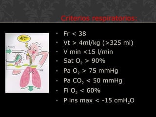 Criterios respiratorios:
• Fr < 38
• Vt > 4ml/kg (>325 ml)
• V min <15 l/min
• Sat O2 > 90%
• Pa O2 > 75 mmHg
• Pa CO2 < 50 mmHg
• Fi O2 < 60%
• P ins max < -15 cmH2O
 