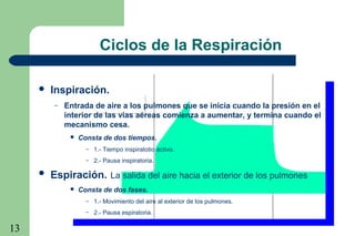 13
Paw
Ciclos de la Respiración
 Inspiración.
– Entrada de aire a los pulmones que se inicia cuando la presión en el
interior de las vías aéreas comienza a aumentar, y termina cuando el
mecanismo cesa.
 Consta de dos tiempos.
– 1.- Tiempo inspiratotio activo.
– 2.- Pausa inspiratoria.
 Espiración. La salida del aire hacia el exterior de los pulmones
 Consta de dos fases.
– 1.- Movimiento del aire al exterior de los pulmones.
– 2.- Pausa espiratoria.
 