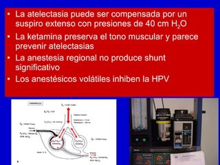 La atelectasia puede ser compensada por un suspiro extenso con presiones de 40 cm H 2 O La ketamina preserva el tono muscular y parece prevenir atelectasias La anestesia regional no produce shunt significativo Los anestésicos volátiles inhiben la HPV 