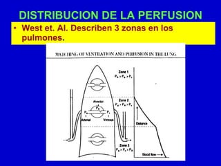 DISTRIBUCION DE LA PERFUSION   West et. Al. Describen 3 zonas en los pulmones . 