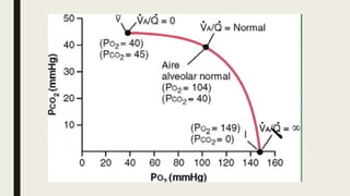 Ventilación perfusion pulmonar.   .pptx
