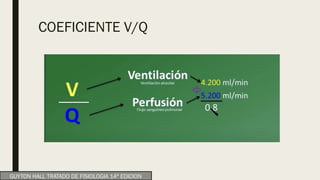 COEFICIENTE V/Q
GUYTON HALL TRATADO DE FISIOLOGIA 14ª EDICION
 